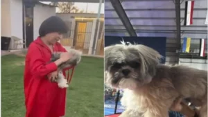 وفاة كلب في ثوانٍ تمنع صاحبتها من مواجهة الفقد وتقودها لتحدي قانوني حول حقوق الحيوانات